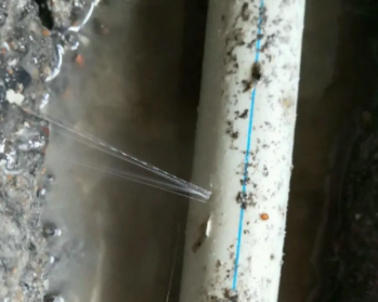 浠水卫生间测漏水多少钱