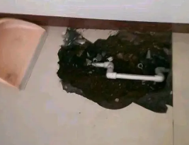 浠水卫生间测漏水多少钱
